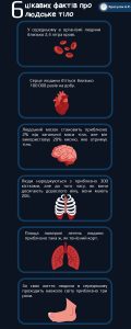 Brown Minimalist Human Body Fun Fact Infographic